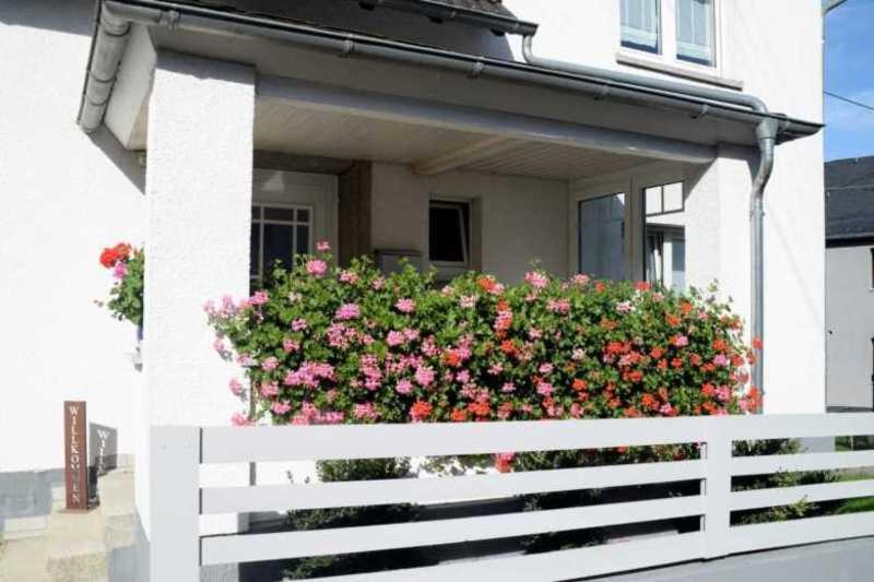Homestay Deb 035 Im Westerwald Freirachdorf