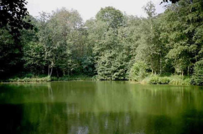 Deb 035 Im Westerwald Freirachdorf